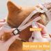 Soft Basket Dog Muzzle for Small Medium Large Dogs - Prevent Biting, Chewing, and Barking - Breathable, Adjustable Straps - Pet Puppy Mouth Cover (S Pink) - Buy Online on SooperMarket.com