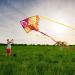 Dragon Kite for Kids and Adults - Easy-to-Fly Delta Beach Kite with 300ft String - Fiery Colors - Buy Online on SooperMarket.com
