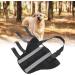 Dog Rear Leg Protector Dog Safe Neoprene Material Rear Leg Support Prevent Licking for Injury Recovery (L) - Buy Online on SooperMarket.com