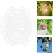 Gogogmee Shaped Fruit Shaper Reusable Forming Novel Shaping Ginseng Vegetable - Buy Online on SooperMarket.com