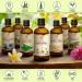 Chamomile Oil 100ml - Natural Chamomilla Oil for Face Nails Hands & Hair | Massage & Personal Care - Buy Online on SooperMarket.com