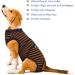 Kuoser Dog Body Post-Op for Male & Female Dogs - Breathable & Leakage Protection - Anti-Licking Recovery Suit (Brown Size M - 1 Pack) - Buy Online on SooperMarket.com