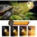 Premium Turtle Heat Lamp for Reptiles - UVB Terrarium Light with 240cm Cable & Adjustable Swan Neck | Ideal for Aquariums - No Bulb Included - Buy Online on SooperMarket.com