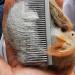 2PCS Pet Hair Buster Comb for Dogs, Cats, Rabbits, Hamsters - Stainless Steel Detangling Brush with Long and Short Teeth - Red and Blue - Buy Online on SooperMarket.com