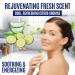 Pyrithione Zinc Soap Bar 4oz for Face & Body - 2% ZnP Cleanser for Acne, Rosacea, Eczema, Psoriasis - Skin Therapy Bar Soap for Dermatitis - Made in USA - Buy Online on SooperMarket.com