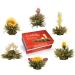 Creano Tea Blum Gift Set - Bloomed Spring Harvest with 500ml Glass Jug & 6 White Teas - Ideal Mother's Day Gift - Buy Online on SooperMarket.com