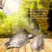 POFET Reptile Basking Spot Climb Pet Lamp Full Spectrum UVA UVB Turtle Tuff Splashproof Halogen Lamp Tortoise Heating Sun Lamp - Buy Online on SooperMarket.com