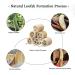 Natural Loofah Sponge Shower Exfoliating Bath Body Scrubber - 6pcs - Buy Online on SooperMarket.com