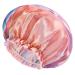 Mikimini Large shower hood for women with long hair 2-pack pink fashionable double-fold waterproof reusable washable XL (2-pack) XL (2-pack) pink river