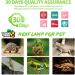 LUCKY HERP 150W Reptile Heat Bulb Basking Spot Heat Lamp for Reptiles Vivarium Light for Amphibian Chicks Dog Heating Use 150W 1 Pack - Buy Online on SooperMarket.com