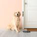 Shop Owner Dog Training Bell | Metal Wall-Mounted Door Bell - SliverDeW - Buy Online on SooperMarket.com