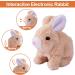 ZBATHTOY Jumping Rabbit Toy for 0-36 Months | Interactive Electronic Toy for Kids | Ideal Gift for Boys and Girls Ages 1-5 - Buy Online on SooperMarket.com