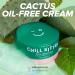 I DEW CARE Chill Kitten Moisturizer Face Cream - 24 Hour Aloe Vera Gel for Dry & Red Skin - Cactus Oil-free Formula - 1.69 Fl Oz - Buy Online on SooperMarket.com