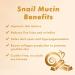 TONYMOLY 24K Snail Moisture Lock Slug Stick - Hydrating Multi Balm with Snail Mucin & 24K Gold for Barrier Protection | International Shipping Available - Buy Online on SooperMarket.com