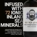 Daily Conditioning Wash - Natural Beard Cleanser with Ionic Inland Sea Minerals | Nourishes Facial Hair & Skin | Lavender Mint | 8oz - Buy Online - Buy Online on SooperMarket.com