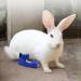 vomvomp 1 Pair of Water Resistant Rabbit Socks for Sore Hocks Elbow Protective for Bunny Recovery and Relief Wound Pain Waterproof - Buy Online on SooperMarket.com