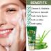 Aloe Vera Exfoliating Scrub Cleanser Aloe Vera Gel Face Wash Natural Acne Face Wash Face Wash For Men & Women Cream Cleanser For Acne Prone & Oily Skin Face Wash - Soothe Purify Facial Skin Care Green-Aloe Vera - Buy Online on SooperMarket.com