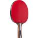 Spindragon Apex Carbon Professional Ping Pong Paddle - Dual Offensive Rubber & Carry Case - Enhance Your Game & Win Matches - Buy Online on SooperMarket.com