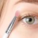 CANIGHT 10pcs Eye Shadow Brush Lip Brush Tool Eye Blending Brush Eye Makeup Tool Cosmetic Plastic Handle - Buy Online on SooperMarket.com
