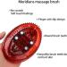 Cellulite Body Massager Brush - Handheld Meridians Massage Brush for Whole Body Relaxation - Buy Online on SooperMarket.com