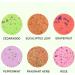 1 Set Shower Steamers Aromatherapy Bath Bombs 30g Colorful Shower Steamers with Multiple fragrances Shower Bombs Natural Essential Oils Bath Bomb Set - Buy Online on SooperMarket.com