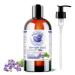 Bella Terra Oils Borage Seed Oil. 473ml. 100% Pure. Cold-pressed. Unrefined. PA-free. Hexane-free. Rich in GLA. Natural Moisturizer for Skin Hair. 473 ml (Pack of 1)