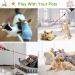 3 PCS Long Range Dot Clicker Toy Pen for Indoor Interactive Teaching - Green Red Violet | Cat Puppy Kitten Lazer Toy | Bright Clicker for Dog Cat Training Exercise - Buy Online on SooperMarket.com