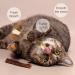 Dacitiery Cat Silvervine Chew Sticks Cat Toys Natural Cat Teeth Nip Cleaning Teeth Chew Catnip Toys for Indoor Cat Teeth Cleaning Kitten Teething and Stress Release (3 Style 6 Pack) - Buy Online on SooperMarket.com