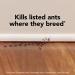 Raid Ant Killer Baits And Traps For Indoor Use Child Resistant 8 Count Baits Ant Killer - Buy Online on SooperMarket.com