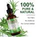 Advanced Rosemary Oil for Hair & Skin Care - 100% Pure, Nourishes Scalp, Stimulates Growth, Improves Blood Circulation - Buy Online on SooperMarket.com