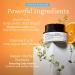 Belif Aqua Bomb Brightening Vitamin C Face Cream - Intense Hydration with Hyaluronic Acid & Vitamin E | Korean Skin Care for All Skin Types - International Shipping Available - Buy Online on SooperMarket.com