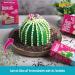 Decocino Edible Roses - Lila & Rosa | 16 Pieces for Wedding & Birthday Cake Decorations | Perfect for Cupcakes & Muffins - Buy Online on SooperMarket.com