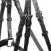 WALDHAUSEN X-Line Standard Bridle Canc n - Black Stainless Steel for Thoroughbreds & Cobs | International Shipping Available - Buy Online on SooperMarket.com