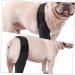 GANAZONO Dog Hindleg Cover Dog Knee Leg Canine Rear Hock Hind Leg Mesh Fabric Comfortable M 1 - Buy Online on SooperMarket.com