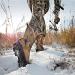 Guide Gear Giant Timber II Men's Waterproof Insulated Hunting Boots - 1400g, Mossy Oak Break-up Country - Size 10 - Buy Online on SooperMarket.com