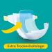 Pampers Baby-Dry Size 7 Nappies (50-Pack) for 15kg+ Babies | International Shipping Available - Buy Online on SooperMarket.com