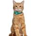 Oopsdoggy Leather Airtag Cat Collar with Bell | Durable GPS Pet Collar for Cats & Small Dogs | Light & Stylish Design (Aquamarine) - Buy Online on SooperMarket.com