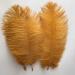 Shekyeo Gold 10-12inch Ostrich Feather Home Decoration DIY Craft Pack of 10 - 25-30cm - Buy Online on SooperMarket.com