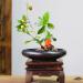 CRAFFANCY Deep Round Ceramic Ikebana Flower Vase with 5cm Kenzan Flower Frog - Black Spotted | Flower Arrangement Supplies for Home Decoration - Buy Online on SooperMarket.com