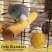 S&X Sand Perch Covers for Birds - Large 3 Pack | Durable & Comfortable Perch Accessories - Buy Online on SooperMarket.com