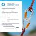 3-Piece UIAA Certified 25KN Auto-Locking Carabiner Set - Versatile Climbing Equipment for Hammocks Swings & Dog Leashes - Buy Online on SooperMarket.com