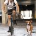 iFCOW Dog Bike Leash - Hands-Free Bicycle Training Leash for Jogging & Walking | Silver Perfect for Cycling - Buy Online on SooperMarket.com