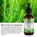 LAXED Rosemary Mint Scalp & Hair Strengthening Oil with & Essential Oils Nourishing Treatment - Buy Online on SooperMarket.com