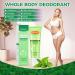 Whole Body Deodorant for Women Luxsea Aluminum Free Deodorant Lotion for Men Armpit Deodorant Cream for 72 Hour Odor Control Refreshing Mint Deodorant Antiperspirant Clear Gel Baking Soda Free - Buy Online on SooperMarket.com
