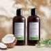 Just Nutritive Gray Hair Shampoo - 16 oz | Just Natural Hair Care Bundle for Gray Hair - Buy Online on SooperMarket.com