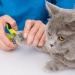 Draftor Pet Nail Clipper Professional Cat Nail Clippers Claw Trimmer Nail Clippers for Dogs Kittens Puppies Hamsters Rabbits and Any Small Pet - Buy Online on SooperMarket.com