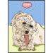 Bamboodles T Bone Dog Chew - Medium Chicken Flavor for Aggressive Chewers - Buy Online on SooperMarket.com