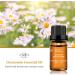 Chamomile + Vetiver Essential Oils Set 100% Pure Aromatherapy Diffuser Blends Oils for Skin Care Hair Bath Massage - Buy Online on SooperMarket.com