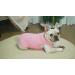 Sychien Combed Cotton Dog Shirt | Soft Cool Tee for Large Bulldogs | Pink & Rose Striped | XL Size - Buy Online on SooperMarket.com