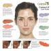 Mehron Makeup Celebr Pro-HD Correct-It Palette - Professional Concealer Palette - Buy Online on SooperMarket.com